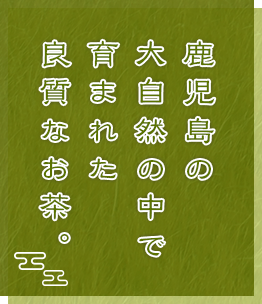 鹿児島の大自然の中で育まれた良質なお茶。